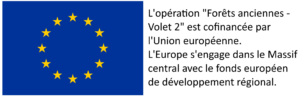 Logo_UE