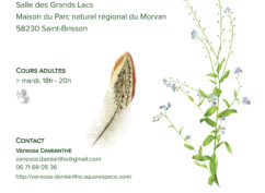 Ateliers de dessin et peinture naturaliste