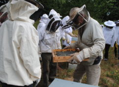 Atelier « les ruchers du Parc du Morvan »