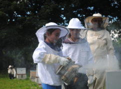 Atelier « les ruchers du Parc du Morvan »