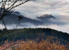 15e Entretiens de Bibracte-Morvan