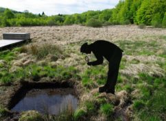 Balade nature: « Fragile Tourbière »