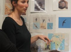 ATELIER NATURE:mode de vie et confection de nichoirs à hirondelles