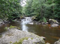 Fréquence Grenouille: « à la découverte de la vallée du Cousin »