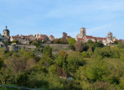 Journées internationale des forêts »Découverte de la forêt de Chauffour-Ferrières »