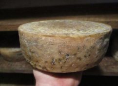 Tomme du Morvan