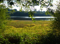 Balade au lac de Saint-Agnan »le sentier du domaine des Grands Prés » ENS2020