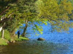 Balade nature « Découverte d’un paysage morvandiau