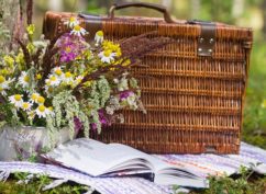 Fantastic Picnic