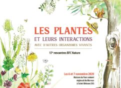 Les plantes et leurs interactions avec d’autres organismes vivants