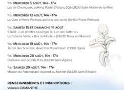 Sortie dessin en pleine nature sur les rives de la Cure