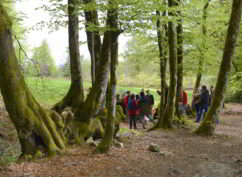 Les mardis du paysage à Bibracte