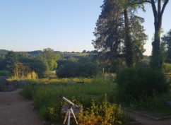 Balade au crépuscule à La Roche-en-Brenil