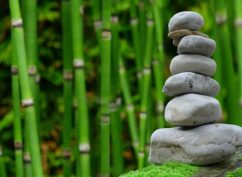 Formation au massage Shiatsu Bien Être