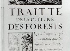 Vauban et la Forêt