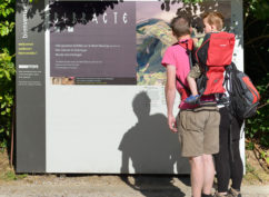 Grande visite nature à Bibracte : durée 3h, tout public – bons marcheurs