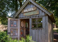 Le musée moussu à Bibracte