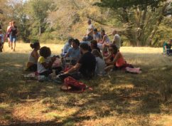 Fantastic Picnic à Bibracte