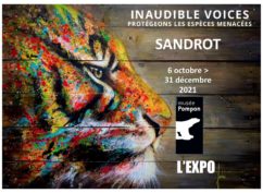 SANDROT & INAUDIBLE VOICES