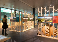Exposition « Portrait de territoire. Le pays du Beuvray » à Bibracte