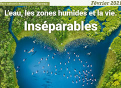 Journée mondiale des Zones Humides