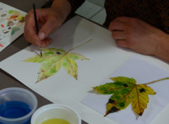 Stage d’illustration botanique « Couleurs d’automne, fruits et champignons »