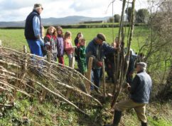 Animations du Printemps