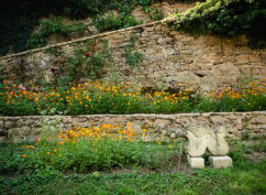 Rendez-vous aux jardins