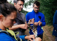 Kiquéla ?Le Bingo de la nature , dans la nature !