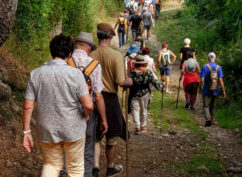 Balade d’été