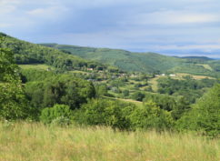 L’AVENTURE DU PARC NATUREL RÉGIONAL DU MORVAN CONTINUE !