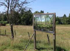 LES TOURBIERES DU MORVAN EN PHOTOGRAPHIES