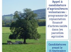 Plantons 100 arbres isolés dans les prairies du Morvan !