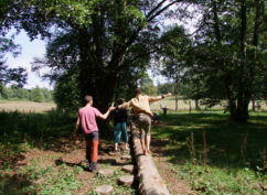 INAUGURATION D’ÉQUIPEMENTS À LA MAISON DU PARC NATUREL RÉGIONAL DU MORVAN