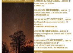 Les vacances de la Toussaint approchent… des rdv nature pour toute la famille !