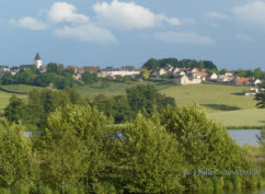 Marche des étangs