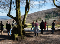 Visite guidée du site archéologique de Bibracte en anglais