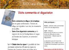 Visite – dégustation à Vézelay