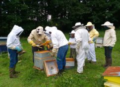 Ateliers Abeilles