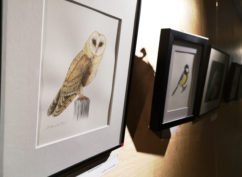 Exposition « La nature près de chez soi »