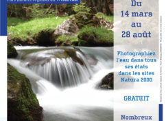 CONCOURS PHOTO