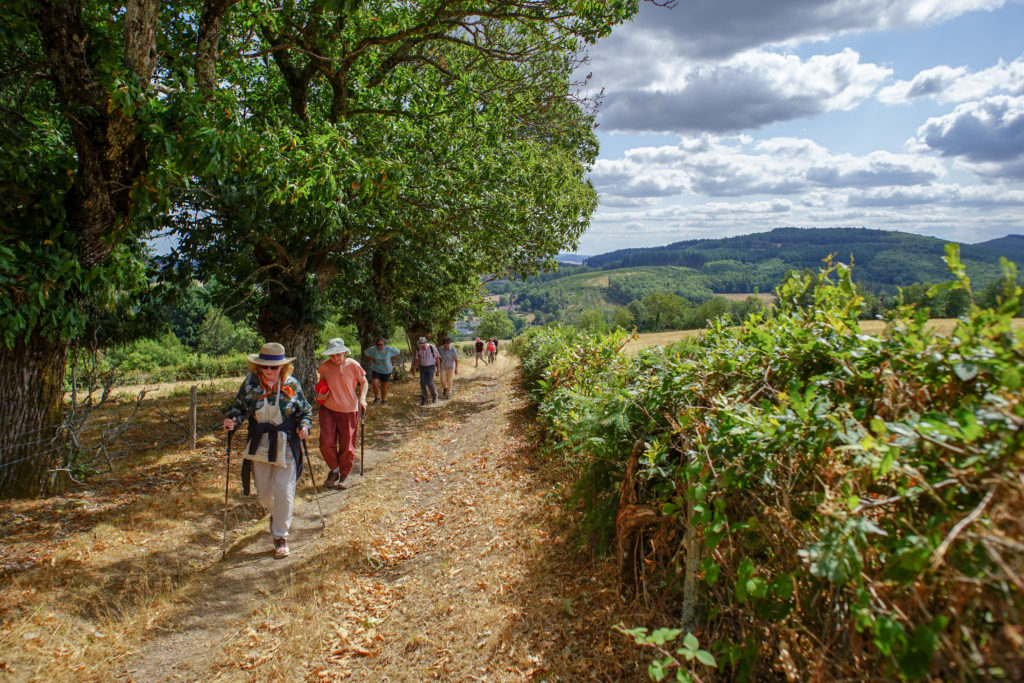 Parc Naturel Régional Du Morvan Les Petites Fourches Saint-brisson