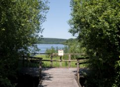 Balade nature : l’aurore au domaine des Grands Prés