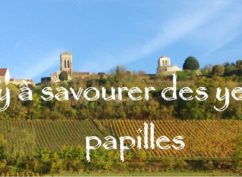 Visites guidées découverte, dégustation, activité : Vézelay à Savourer des yeux et des papilles