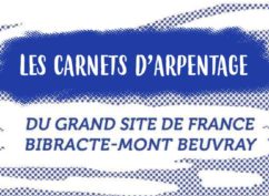 Carnets d’arpentage