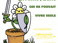 Exposition : La petite plante qui ne pouvait vivre seule