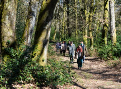 Les flâneries du Beuvray : une grande sortie nature à Bibracte