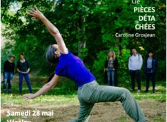 Tour de Danse(s)