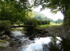 Balade sur la rivière de la Roche