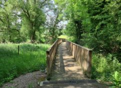 Promenades estivales